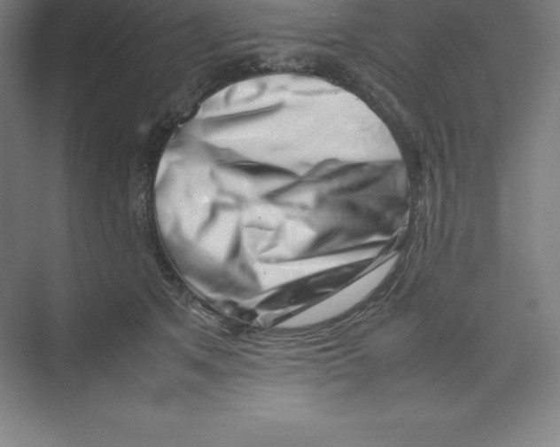 X0000074210513200609221945