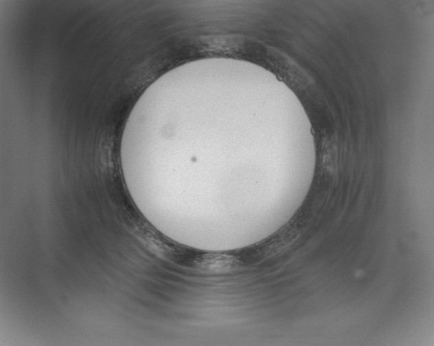 X0000074210514200609221945