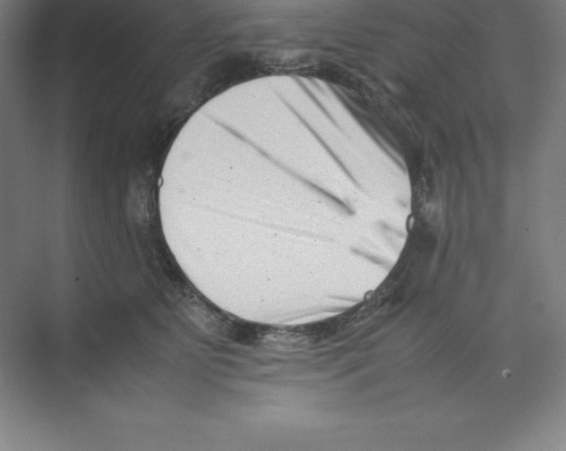 X0000074210515200609221945