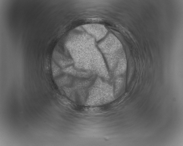 X0000074210517200609221945