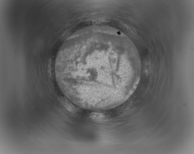 X0000074210519200609221945