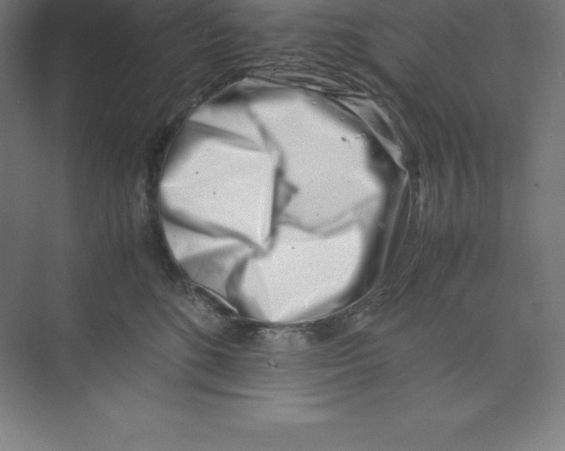 X0000074210520200609221945