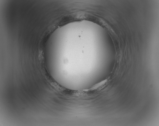 X0000074210521200609221945