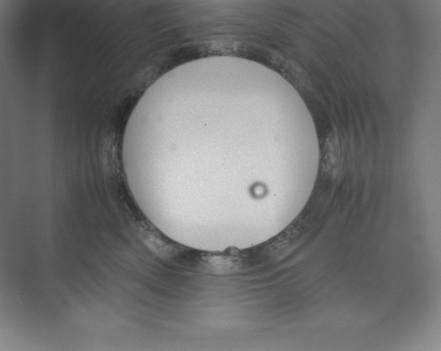 X0000074210522200609221945