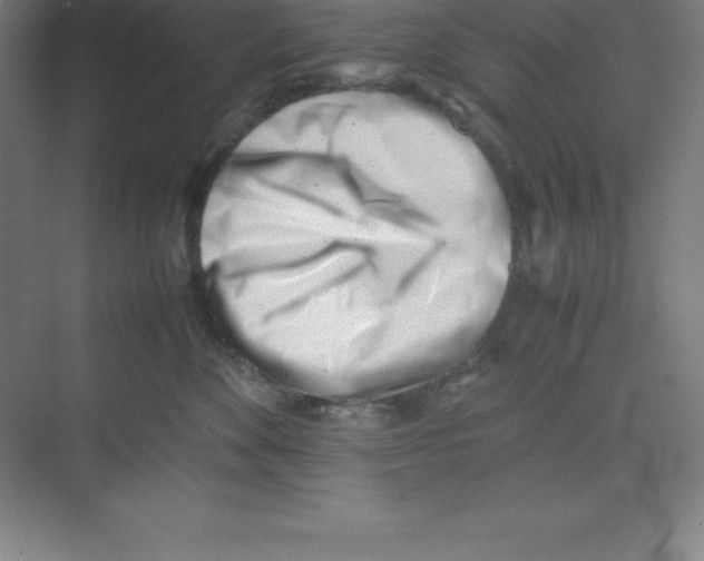 X0000074210524200609221945