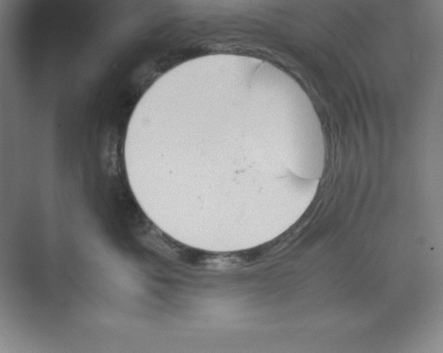 X0000074210525200609221945