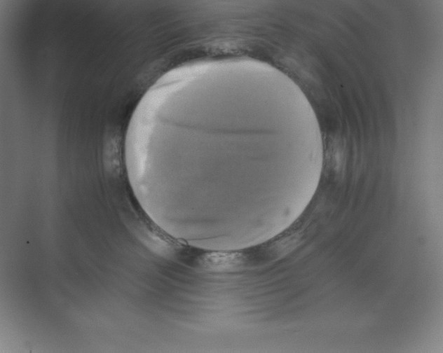 X0000074210526200609221945