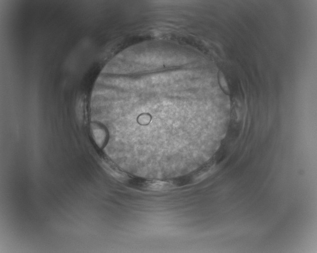 X0000074210527200609221945