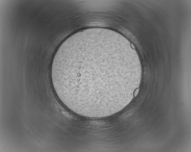 X0000074210529200609221944