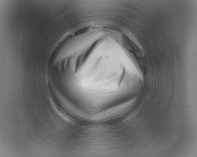 X0000074210530200609221944