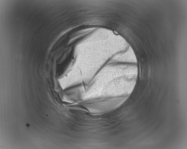 X0000074210531200609221944