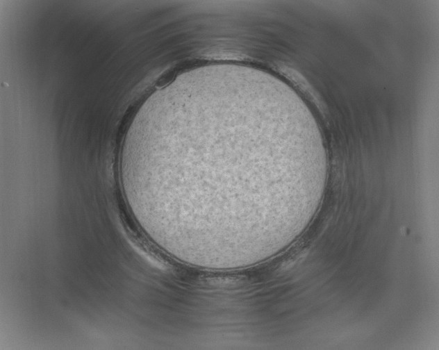 X0000074210533200609221944