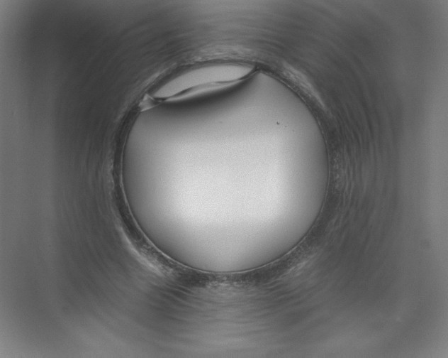 X0000074210538200609221944