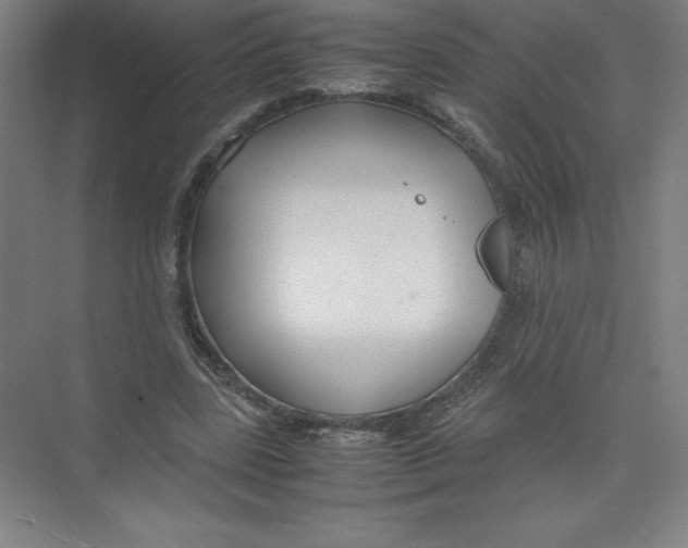 X0000074210539200609221944