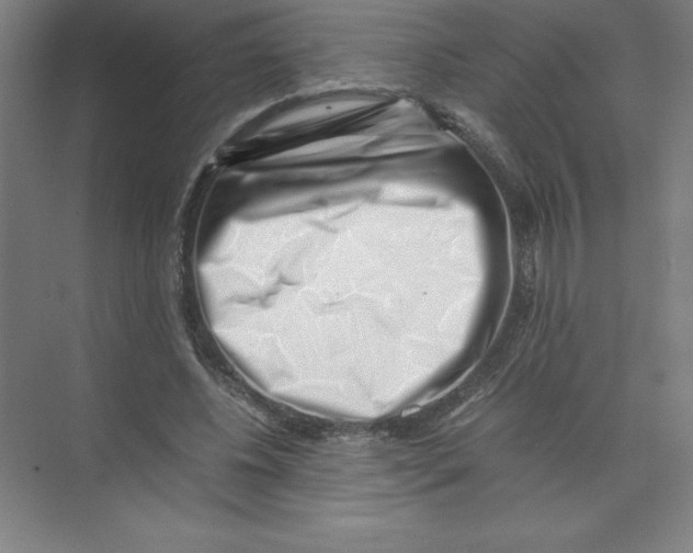 X0000074210540200609221944