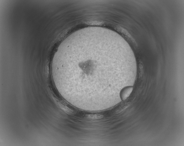 X0000074210541200609221944