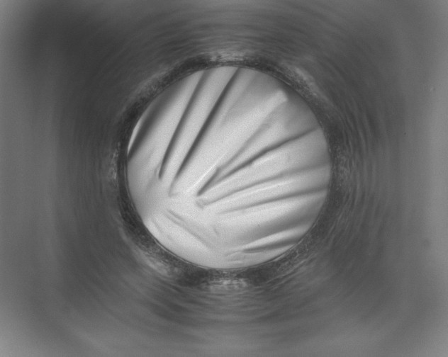 X0000074210543200609221944