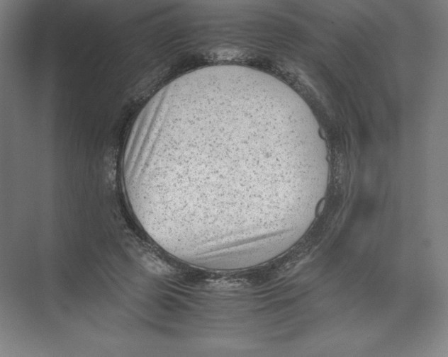 X0000074210545200609221944