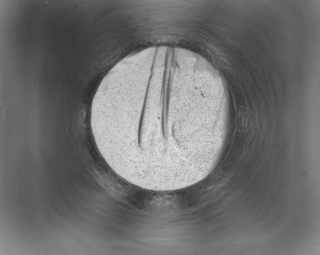 X0000074210550200609221944