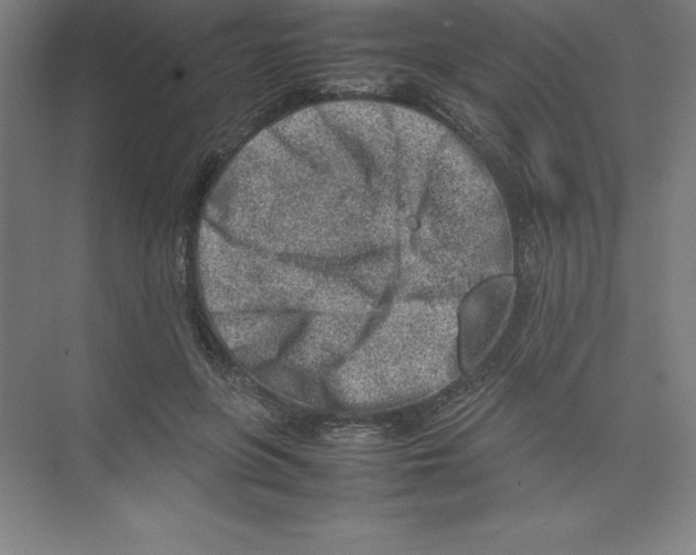 X0000074210551200609221944