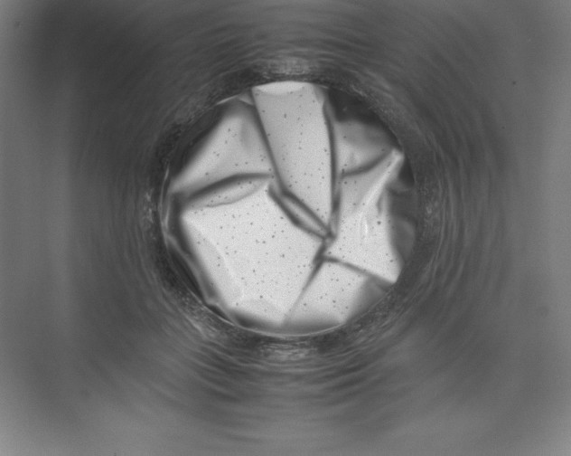 X0000074210555200609221944