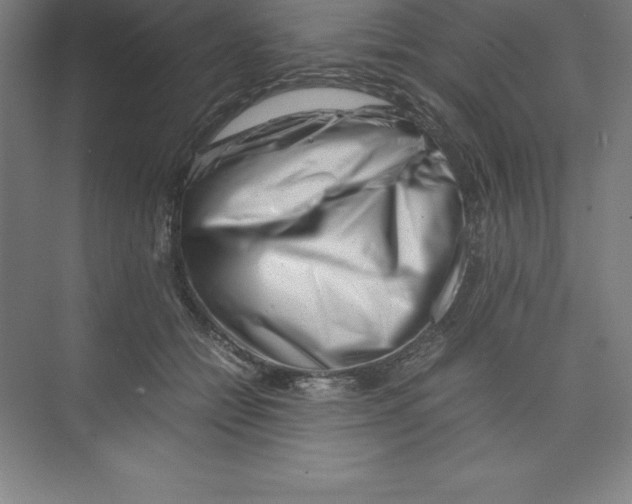 X0000074210558200609221944