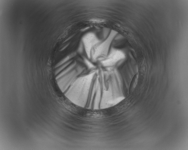 X0000074210559200609221944