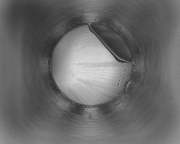 X0000074210560200609221944