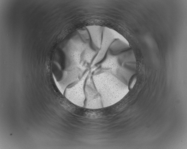 X0000074210561200609221944