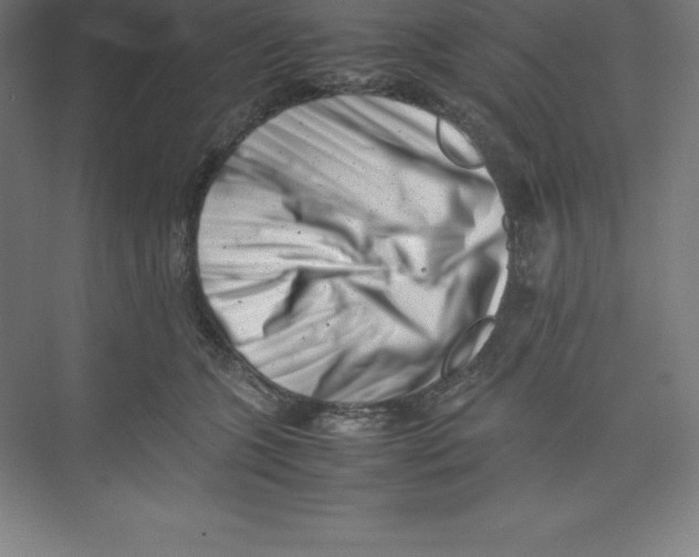 X0000074210563200609221944