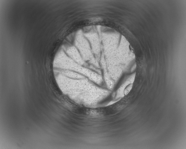 X0000074210565200609221944