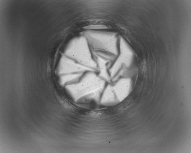 X0000074210570200609221944