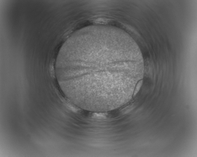 X0000074210573200609221944