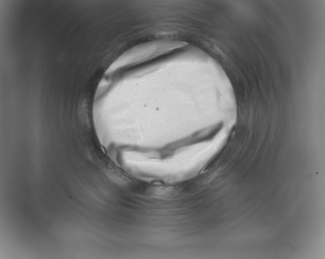 X0000074210575200609221944