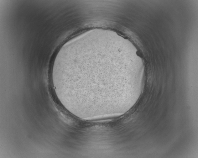 X0000074210578200609221944