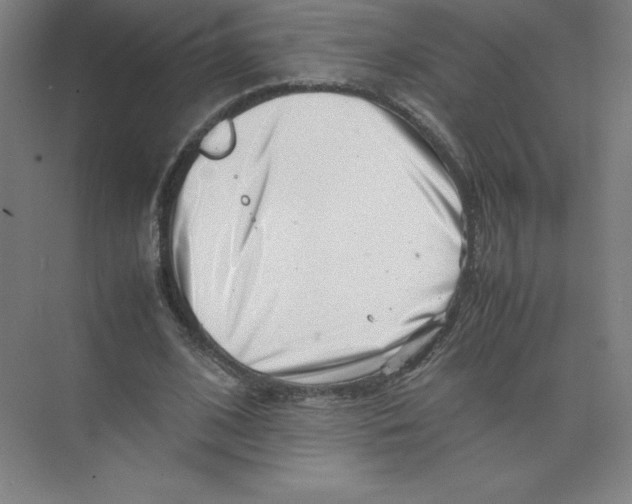 X0000074210584200609221944