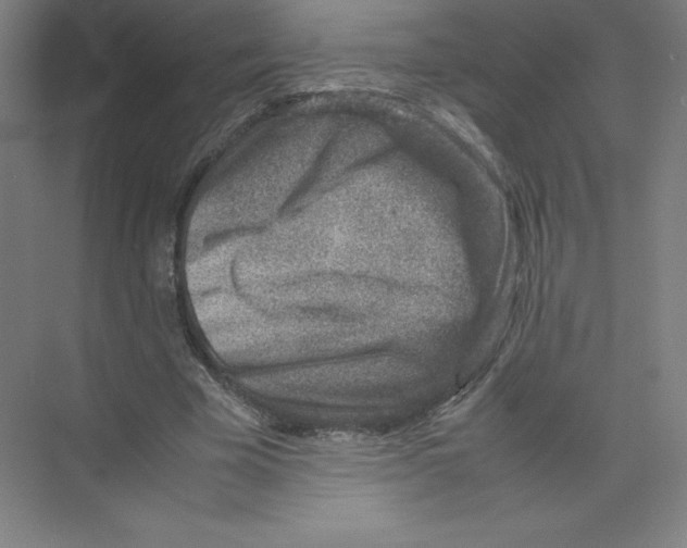 X0000074210585200609221944