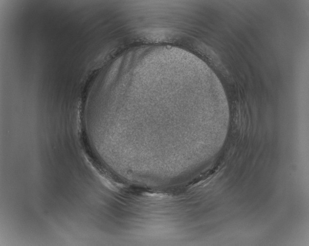 X0000074210590200609221943