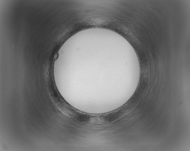 X0000074210591200609221943