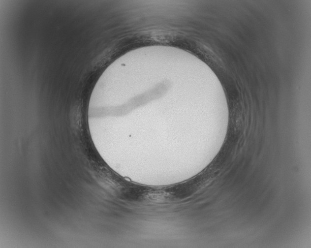 X0000074210595200609221943