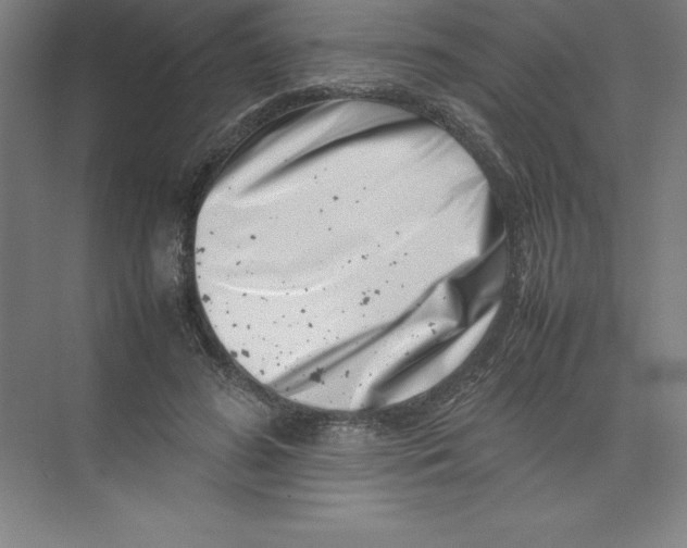 X0000074210596200609221943