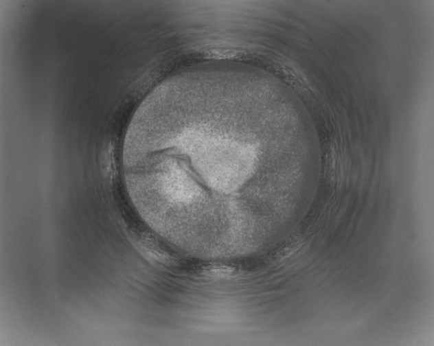 X0000074210598200609221943