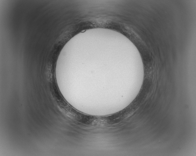 X0000074210599200609221943