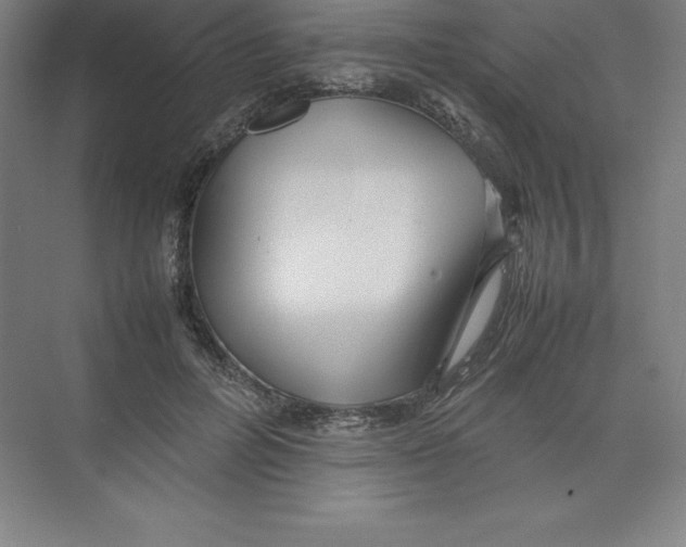 X0000074210600200609221943