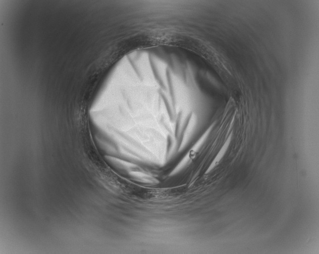 X0000074210601200609221943