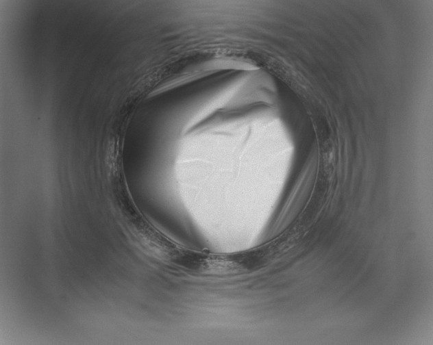 X0000074210605200609221943