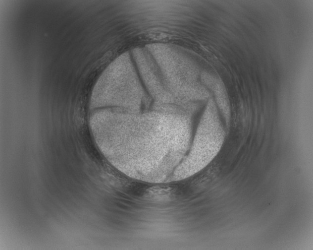 X0000074210606200609221943