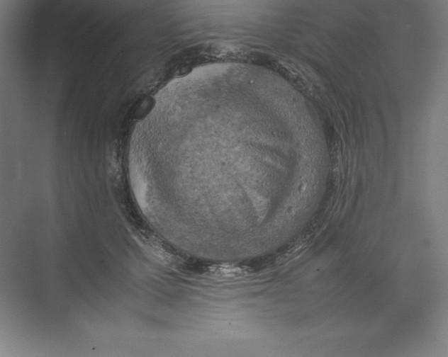 X0000074210607200609221943