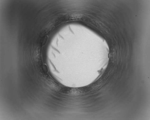 X0000074210608200609221943