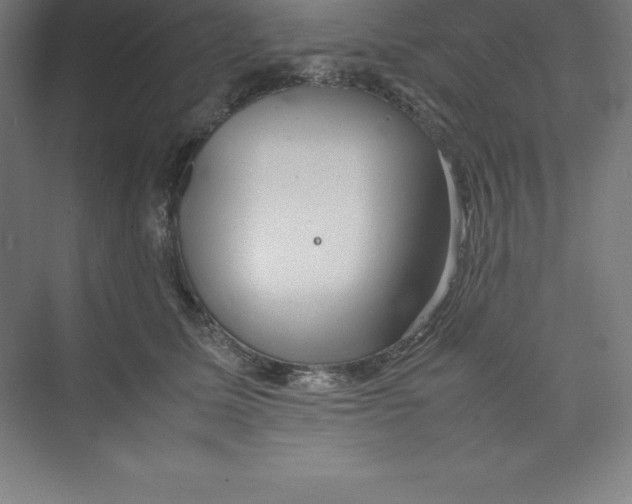 X0000074210611200609221943